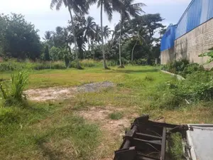 Valuable Land for Sale in Daluwakotuwa