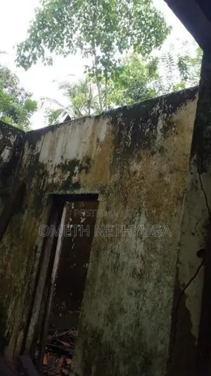 Land for Sale in Bibila