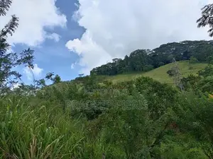 Beautiful View Land Herassagala