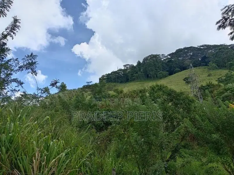 Beautiful View Land Herassagala