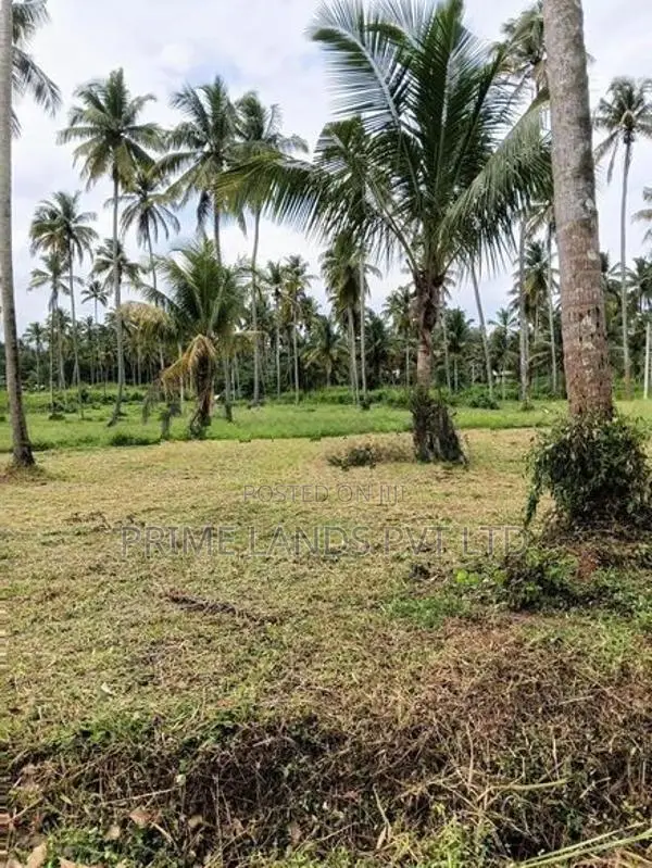 නාරම්මල ඉඩමක්
