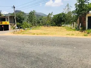 දඹූල්ල මාතලේ පාරෙන් බිම් කොටස්