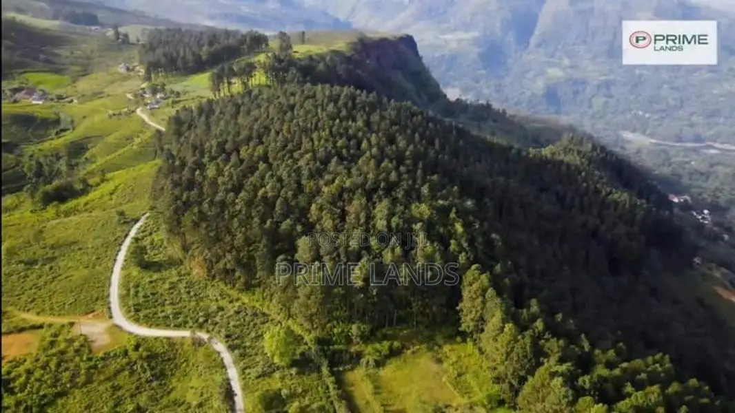 Forest View Point Land for Sale Nuwara Eliya