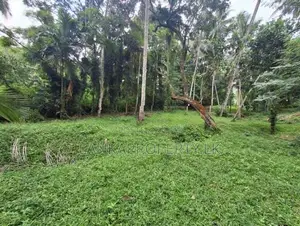 Land Sale in Ahugammana, Delgoda
