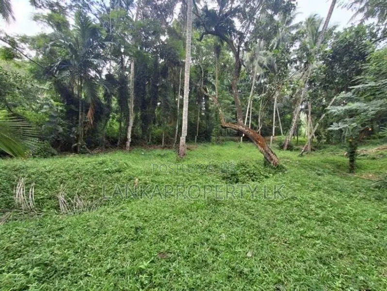 Land Sale in Ahugammana, Delgoda