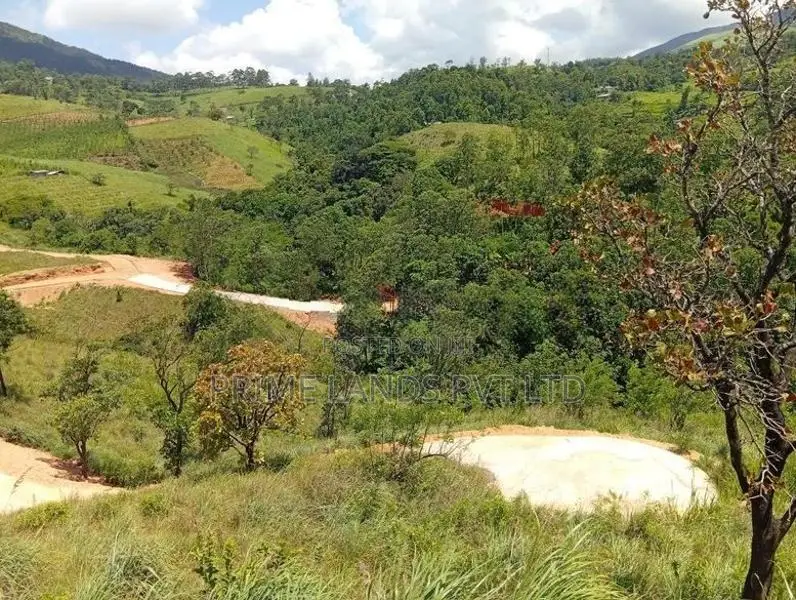 Beautiful Land Sale in Delthota