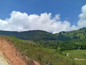 Land Sale in Dethota