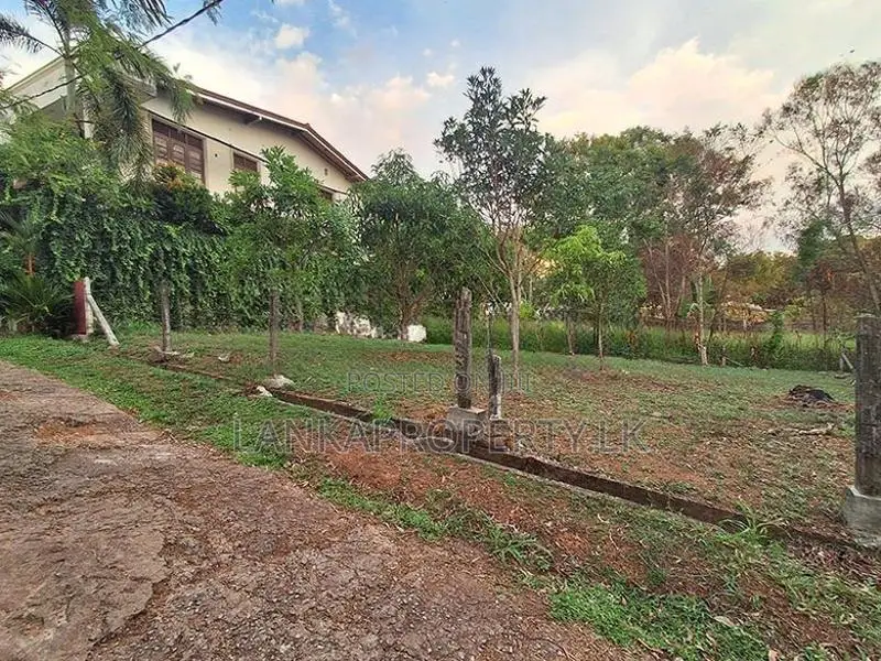 Prime Residential Land for Sale in Ramanayake Mawatha, Hokandara