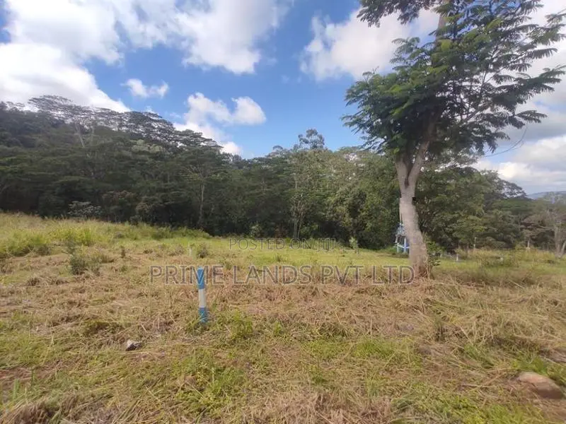 Beautiful Land Sale in Pussalawa