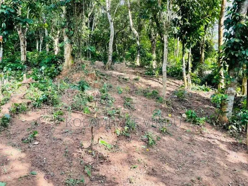 ඉඩමක් විකිනීමට නුවර