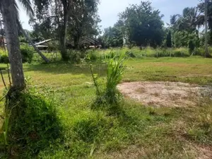 Valuable Land for Sale in Daluwakotuwa