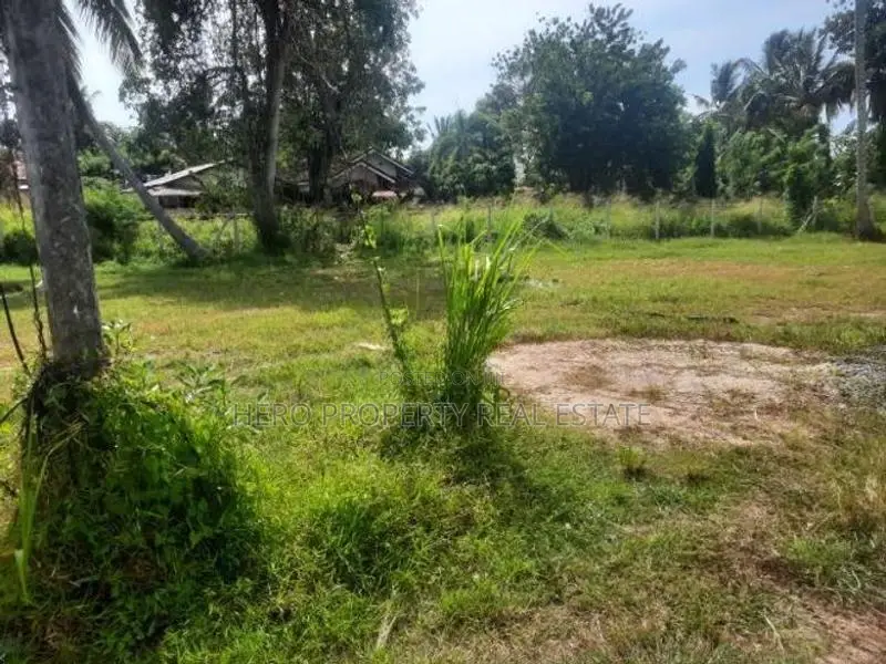 Valuable Land for Sale in Daluwakotuwa