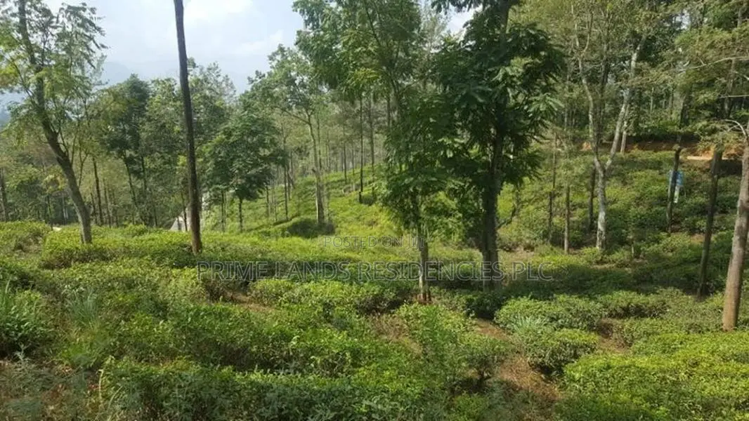 Land for Sale in Pussellawa