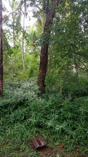 Land for Sale in Bibila