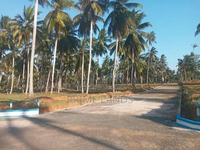 සියලු අනුමැතියන් සහිත බිම් කොටස් නාරම්මල