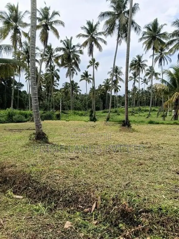 නාරම්මල ඉඩමක්