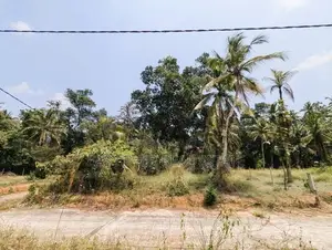 Land for Sale in Naiwala - Hs 11559
