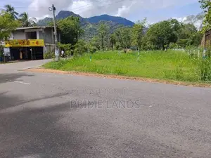 දඹූල්ල මාතලේ පාරෙන් බිම් කොටස්