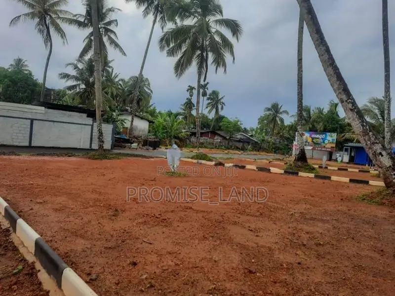 Walana Lands for Sale T01