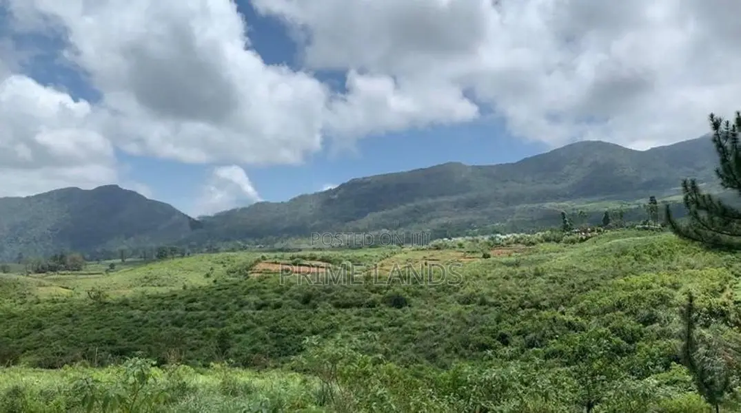Forest View Point Land for Sale Nuwara Eliya
