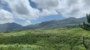 Forest View Point Land for Sale Nuwara Eliya
