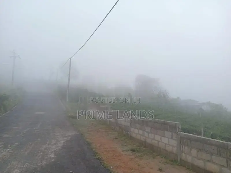 Land for Sale Nuwara Eliya Road