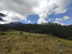 Beautiful Land Sale in Pussalawa