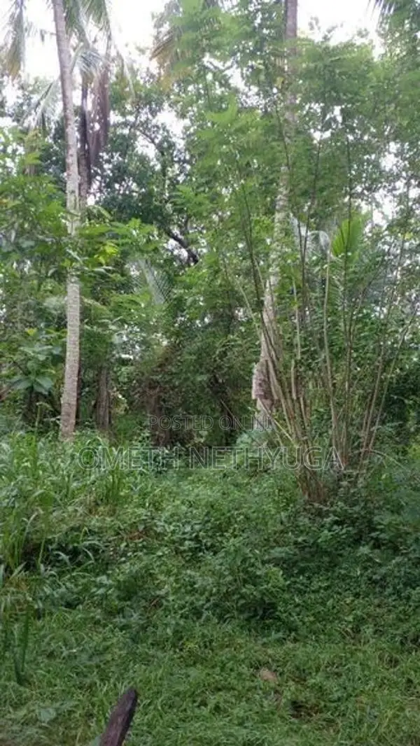 Land for Sale in Bibila