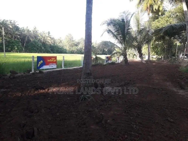 අනුරාධපුර බස් පාරින් පදිංචියට ඉඩමක් බලල්ල