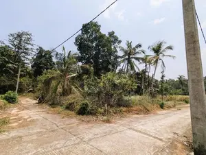 Land for Sale in Naiwala - Hs 11559