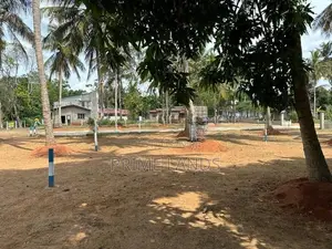 අනුරාධපුර සාලියමාවතෙන් සින්නක්කර බිම්කොටසක් විකිණීමට