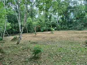 Land Sale in Ahugammana, Delgoda
