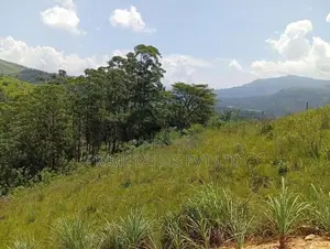 Land Sale in Dethota