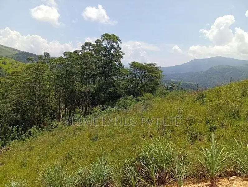 Land Sale in Dethota