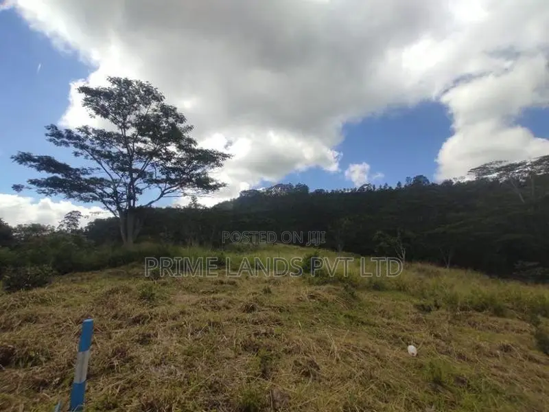 Beautiful Land Sale in Pussalawa