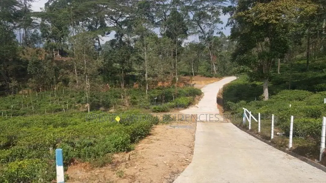 Land for Sale in Pussellawa
