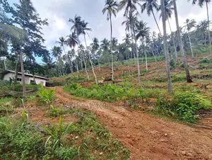 7 Acres Multipurpose Land Is for Sale in Mirigama