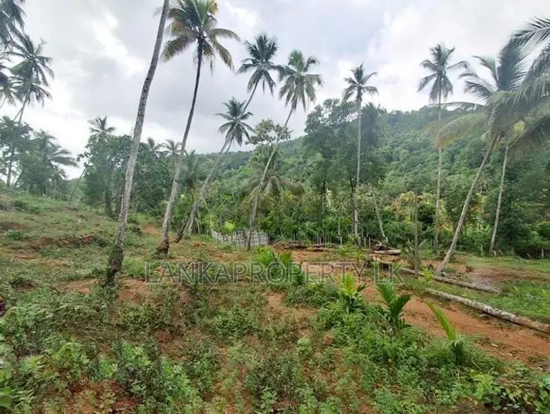7 Acres Multipurpose Land Is for Sale in Mirigama