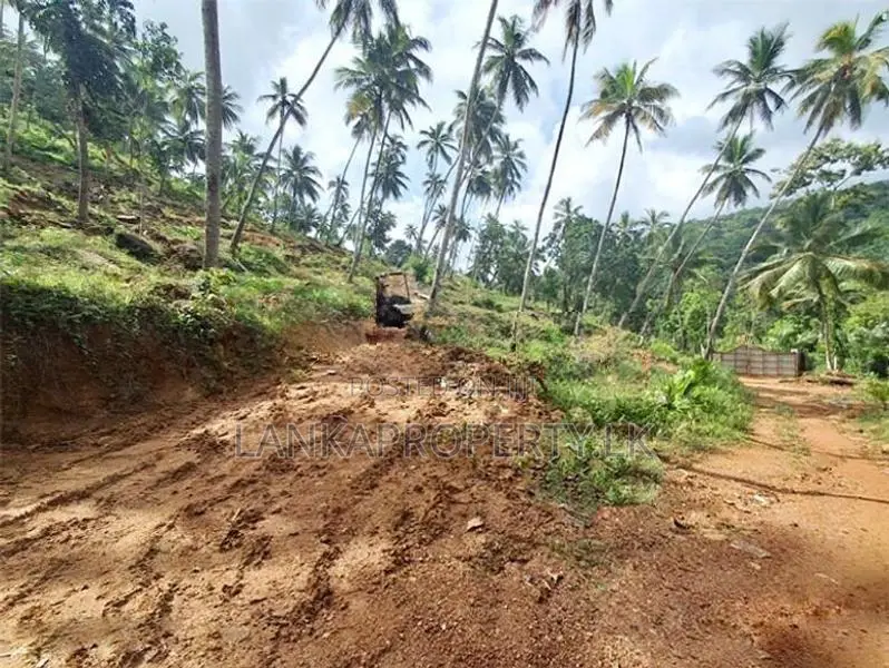 7 Acres Multipurpose Land Is for Sale in Mirigama