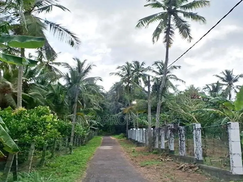 5 Acres of Rubber Land for Sale on Mirigama
