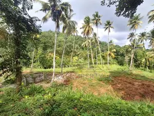 7 Acres Multipurpose Land Is for Sale in Mirigama
