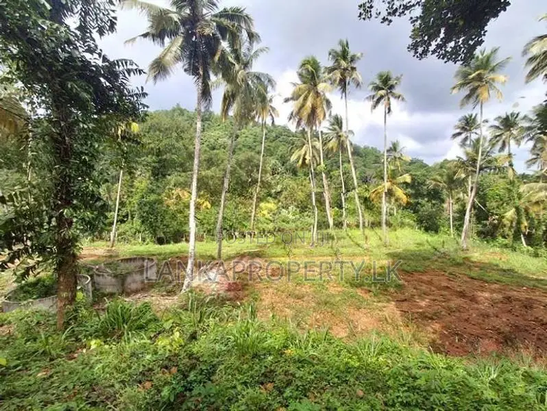 7 Acres Multipurpose Land Is for Sale in Mirigama