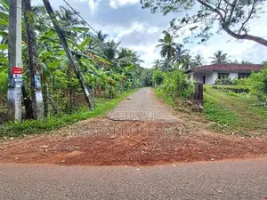 5 Acres of Rubber Land for Sale on Mirigama