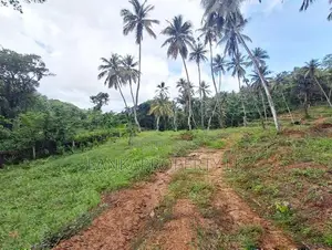 7 Acres Multipurpose Land Is for Sale in Mirigama