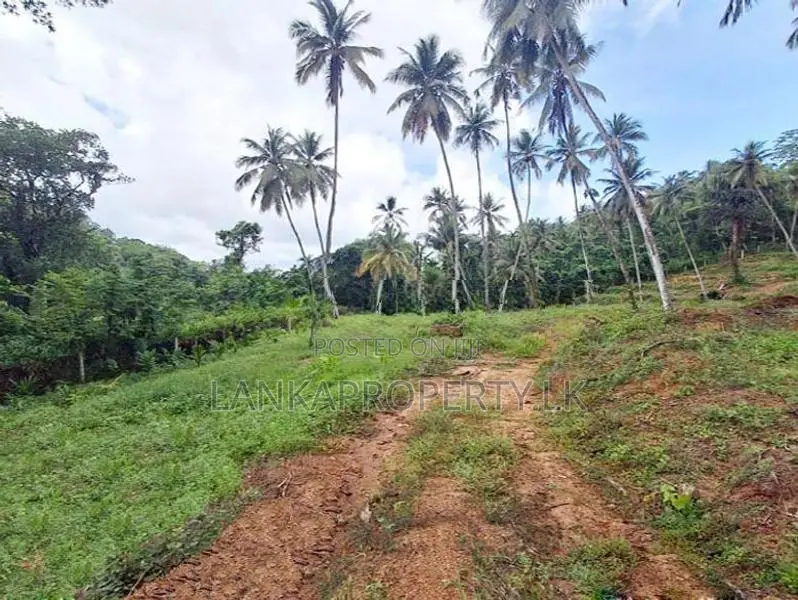 7 Acres Multipurpose Land Is for Sale in Mirigama