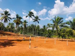 Residential Land for Sale in Pasyala D03