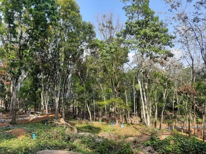 Land for Sale in Nelundeniya