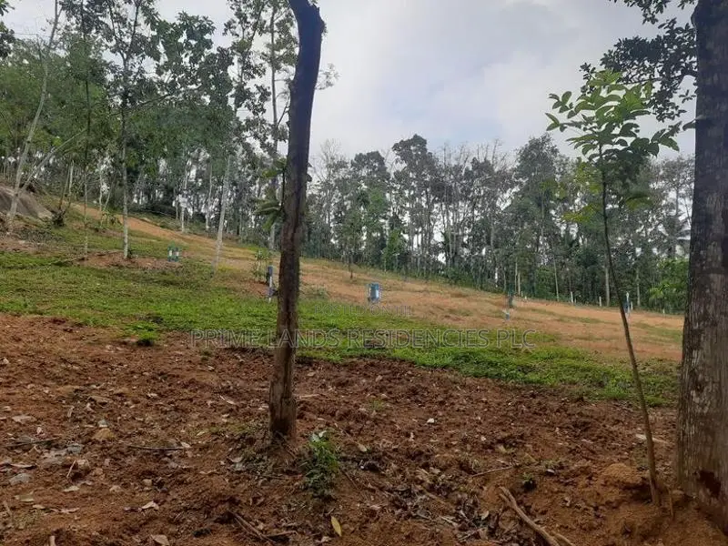 Land for Sale in Nelundeniya