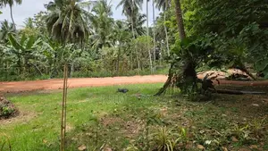 Land for Sale Valiveta ( Navil Hopita )