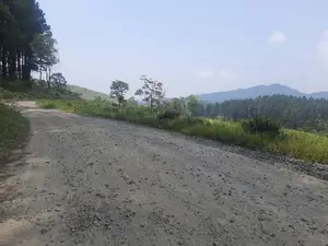 Land for Sale in Ramboda